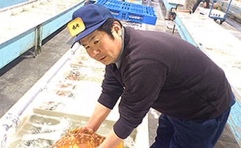 写真：市場の様子で、何列も魚が
並んでいるところがある。市場の人が魚を扱っている様子